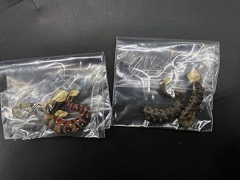 Amazon | 海洋堂チョコQ アニマテイルズ 日本の動物編10弾